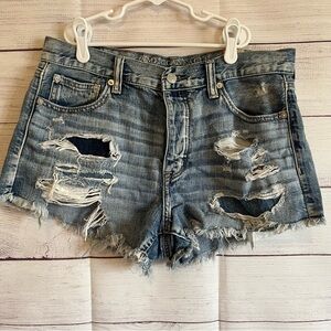 American eagle Vintage high rise festival short size 10
